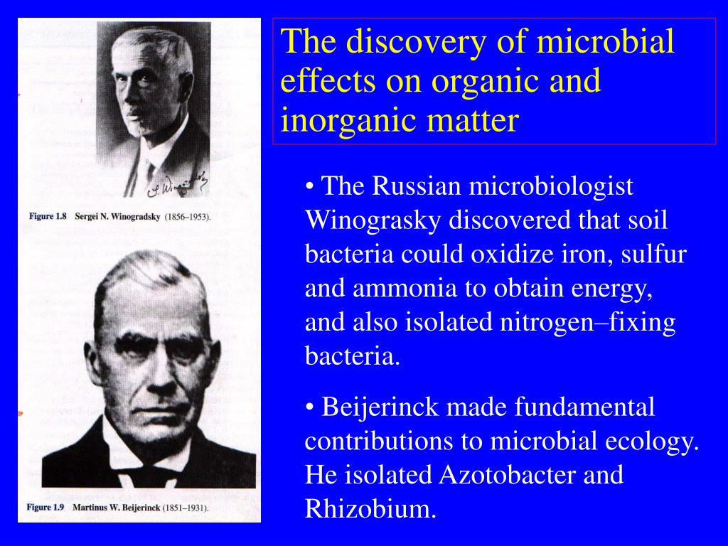 PPT - Microorganisms and Microbiology PowerPoint Presentation, free download - ID:3816612
