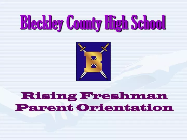 bleckley county high school n.