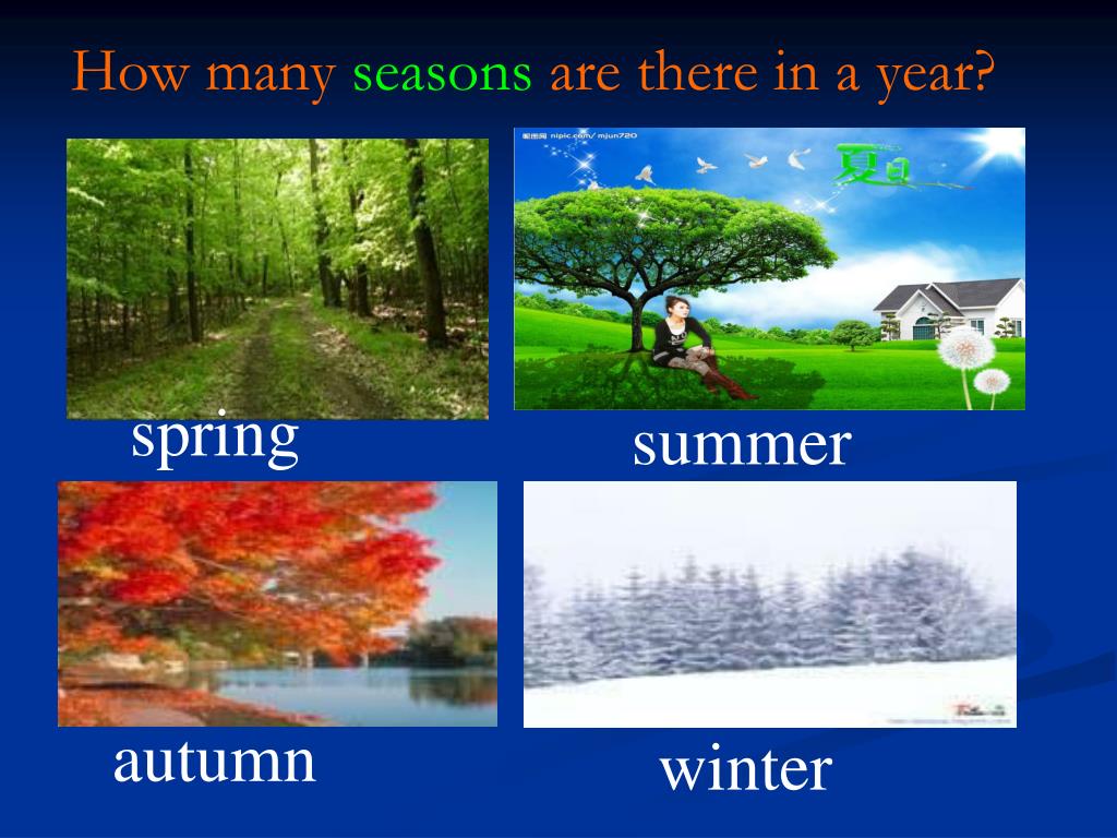 Many months 6. How many Seasons. How many Seasons are there in a year. Seasons and weather there are four Seasons in a year.