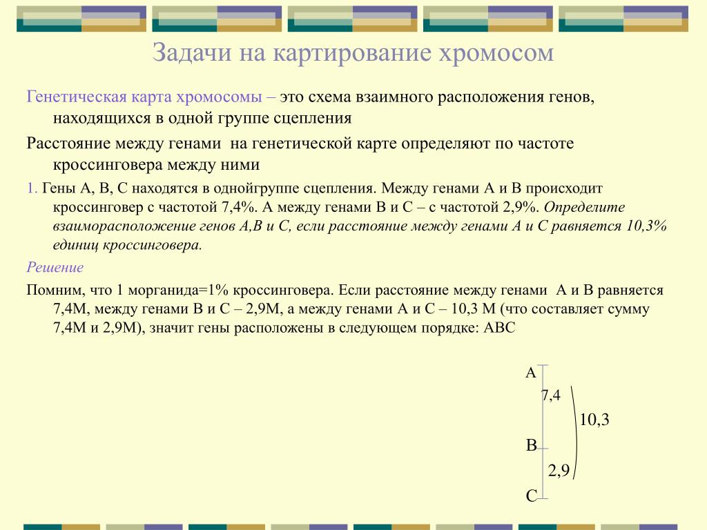 Какие Из Перечисленных Ниже Утверждений Неправильны Гены Определяющие Разные При