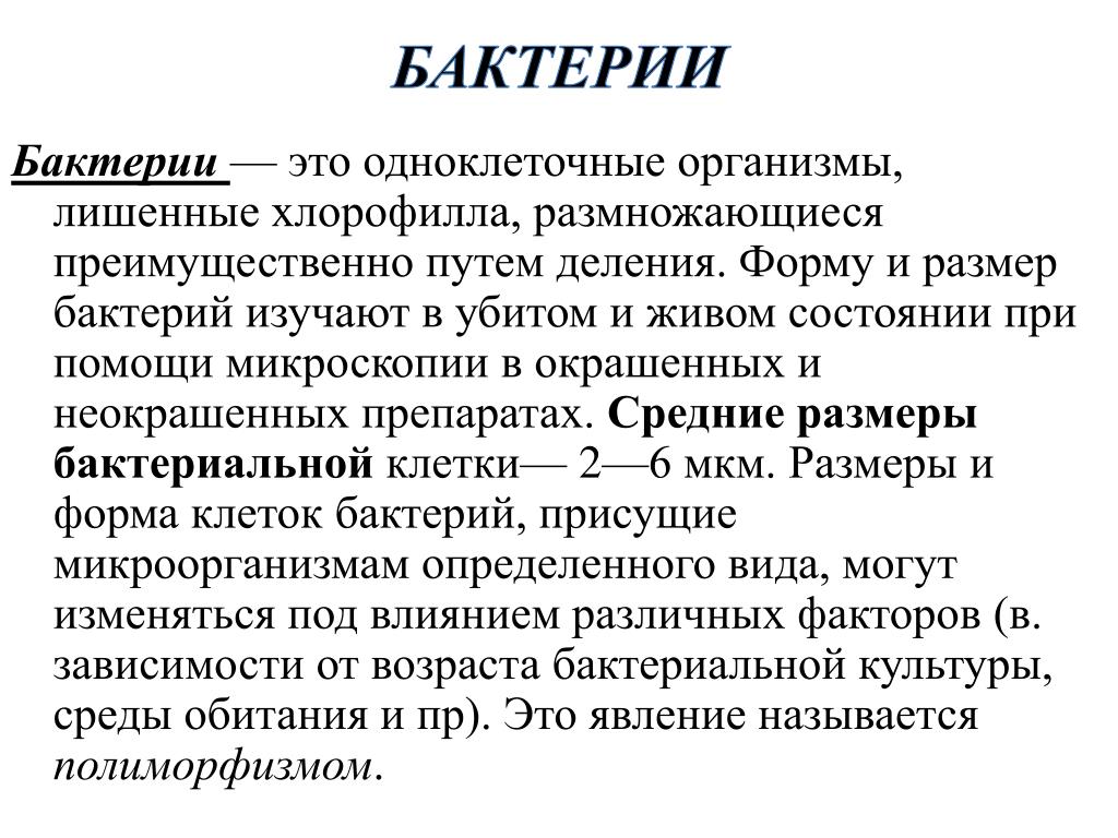 Бактерии определение. Бактерии это в биологии определение. Бактерии дать определение. Бактерии это определение 5 класс.