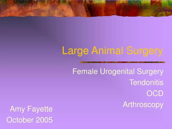 PPT - Large Animal Surgery PowerPoint Presentation, free download -  ID:3818448