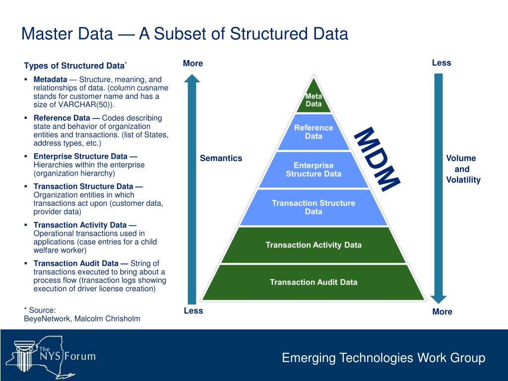 PPT Master Data Management (MDM) in the Public Sector PowerPoint