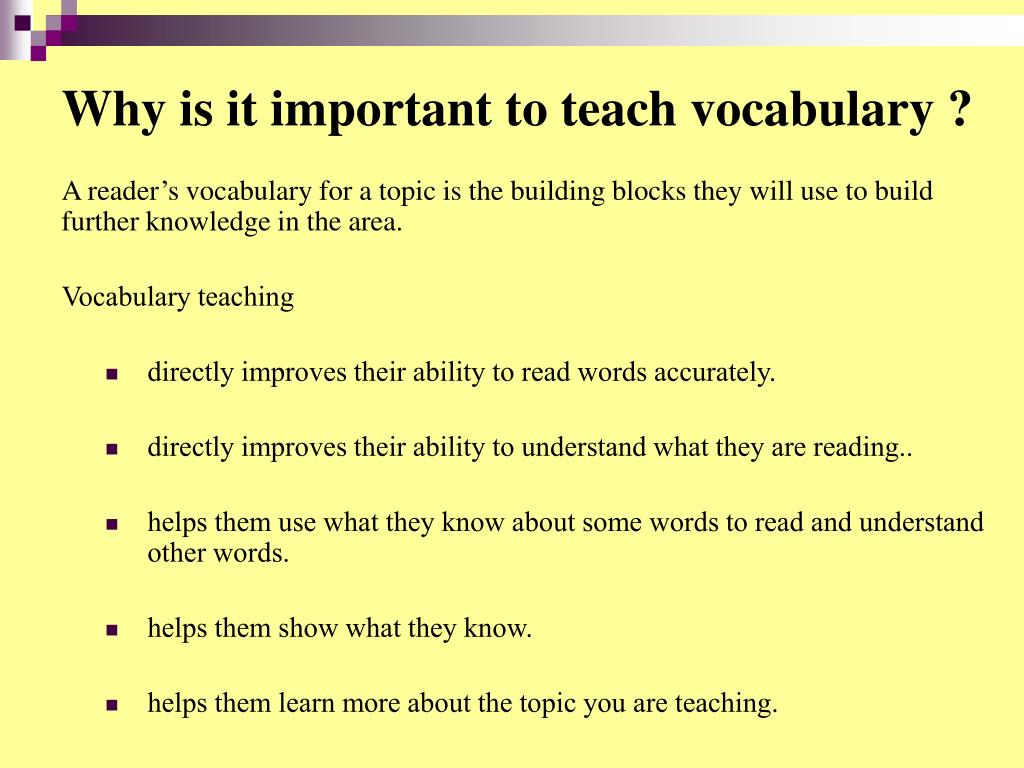 importance of vocabulary essay