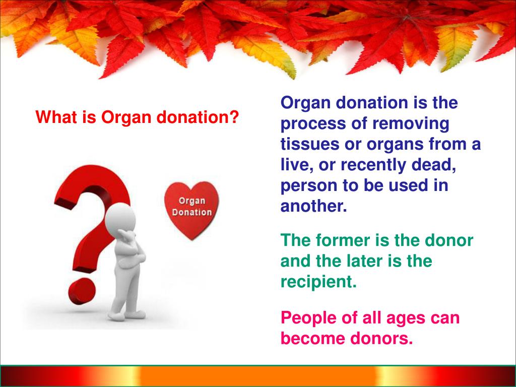 organ donation in india ppt presentation