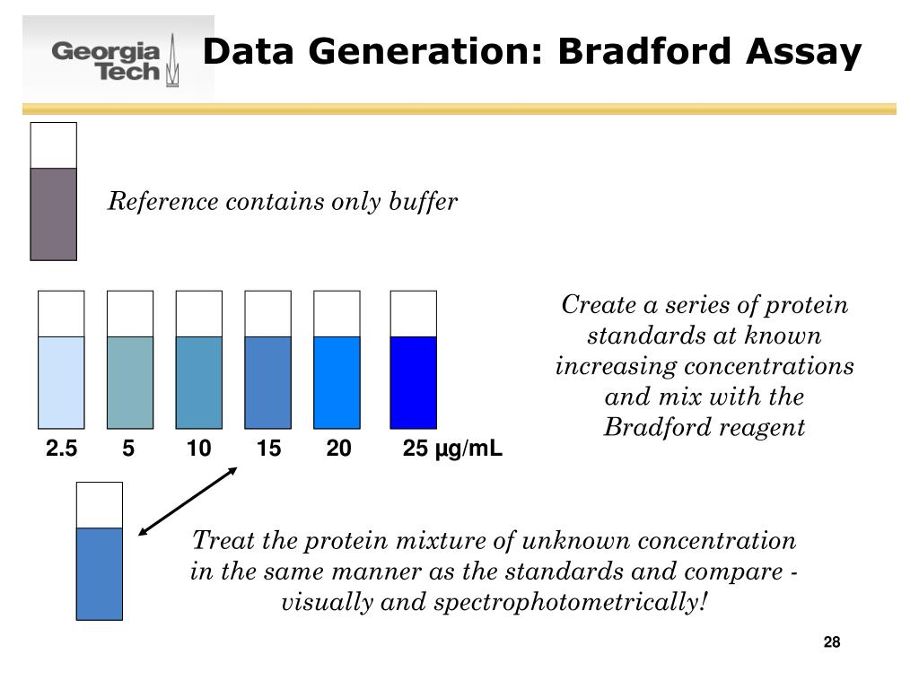 PPT SURVEY OF BIOCHEMISTRY Amino Acids and Proteins PowerPoint Presentation ID3823241