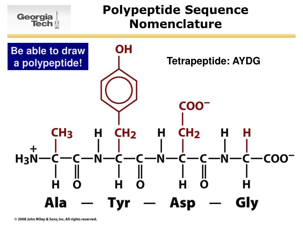 Полипептиды образуются в результате. Тетрапептид вал Лиз АСП фен. Полипептид формула. Линейный тетрапептид. Общая формула полипептидов.