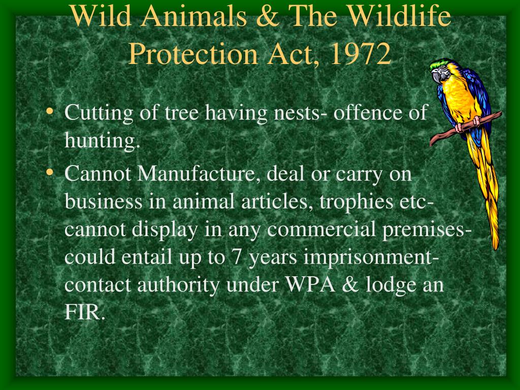 PPT - ANIMALS & THE LAW PowerPoint Presentation, free download - ID:3825833