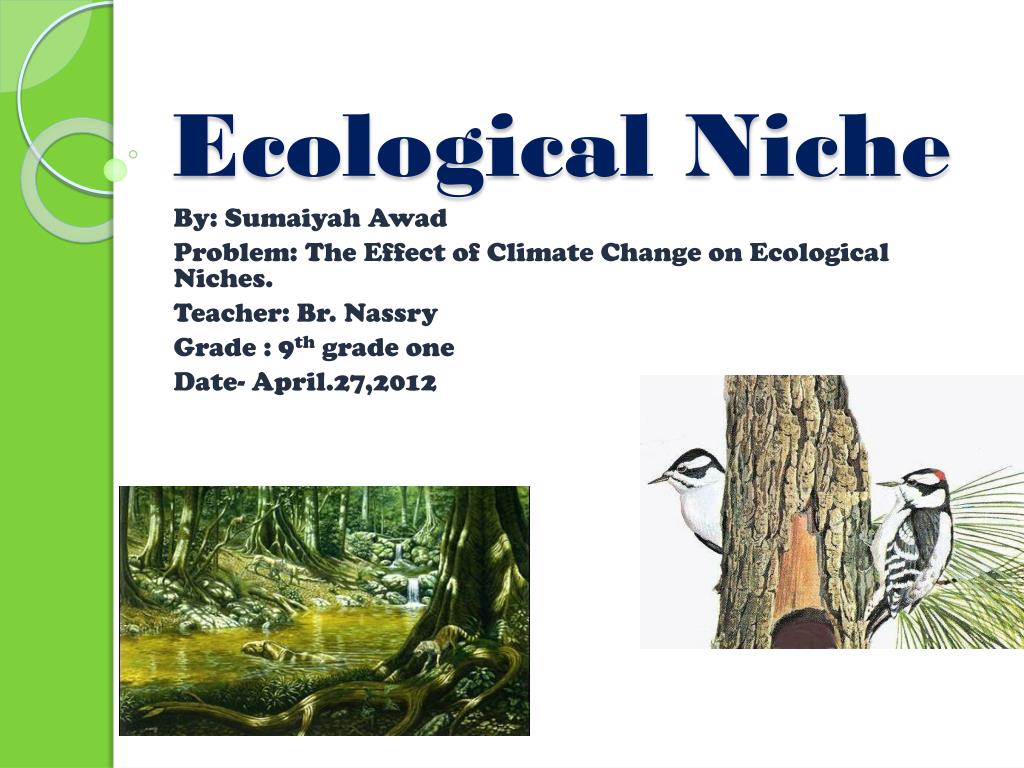write an essay on ecological niche
