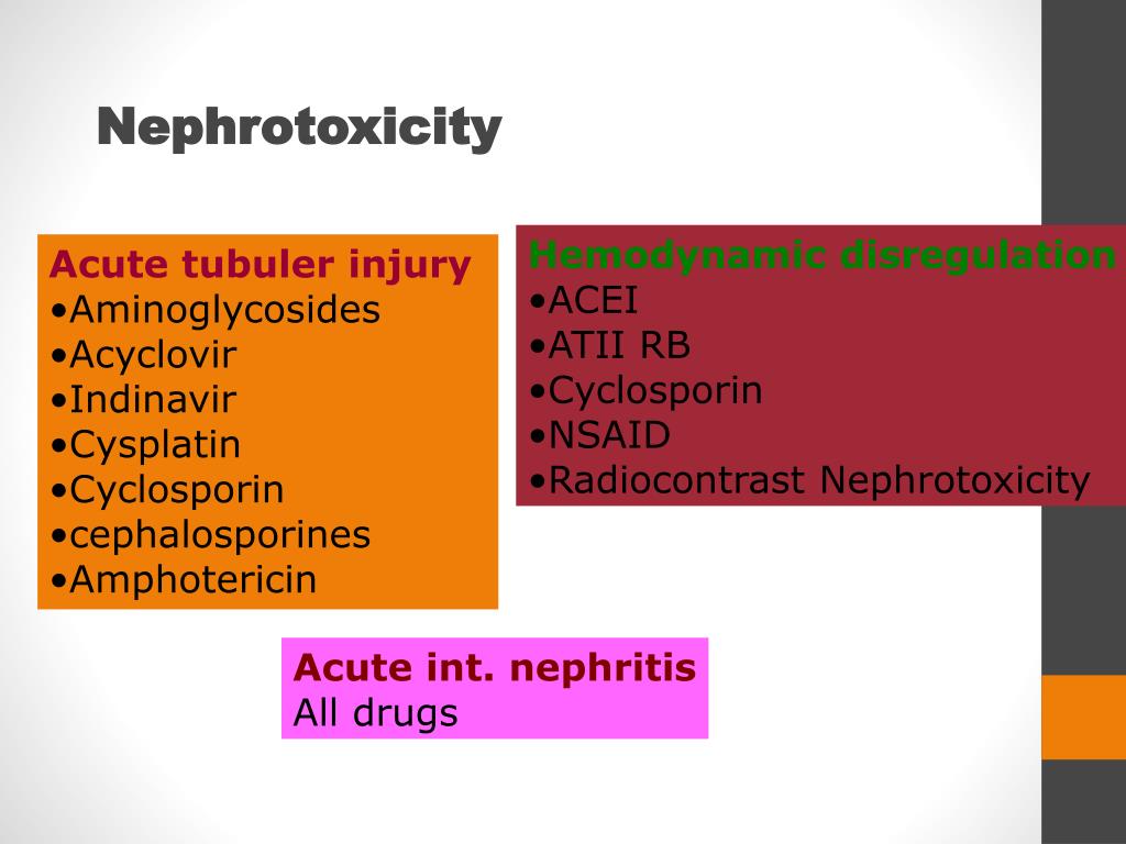 Buy amoxicillin for cats without vet prescription