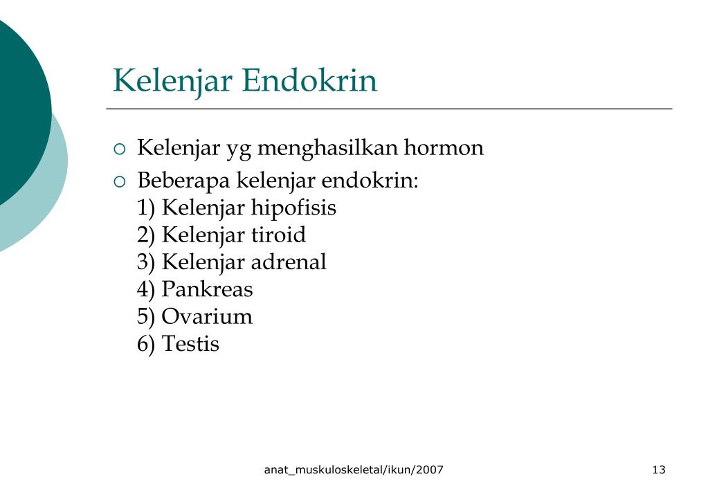 PPT ANATOMI SISTEM MUSKULOSKELETAL SISTEM INTEGUMEN 