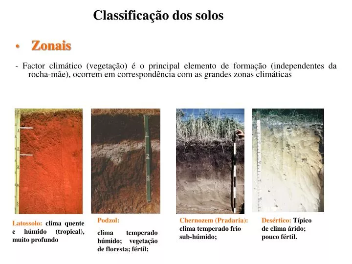 Diferencie Os Solos Zonais Intrazonais E Azonais Citando Um Exemplo