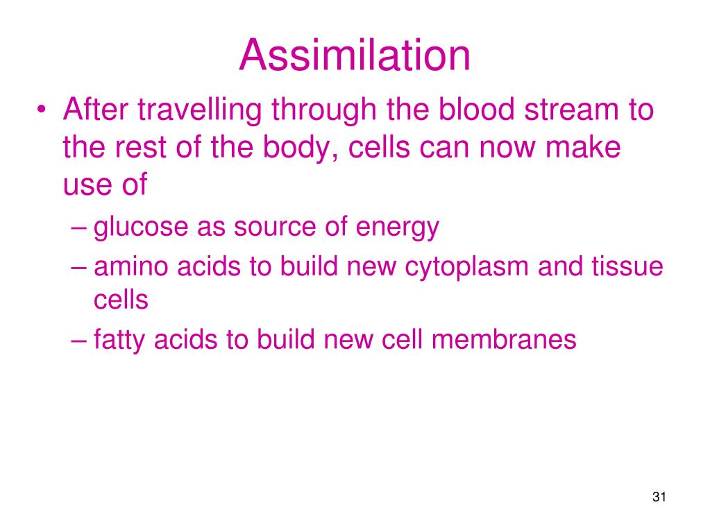 Assimilation, Love, and Other Human Oddities by Lyn Gala Assimilation, Love, and Other Human Oddities by Lyn Gala