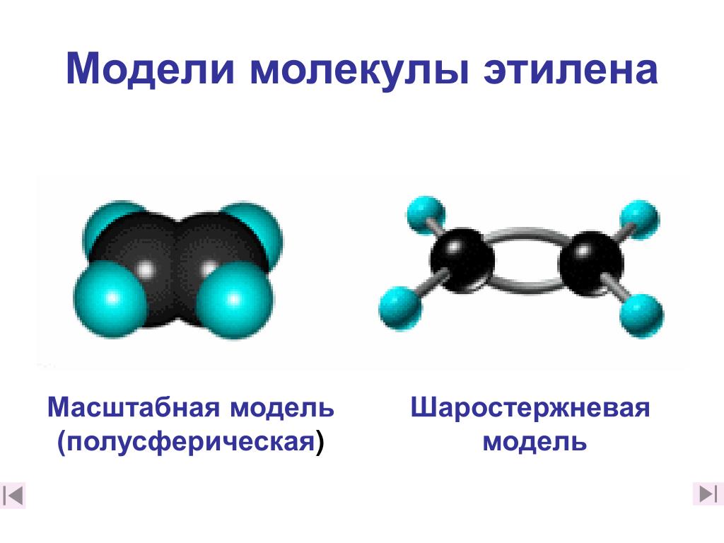Модели молекул отражают характерные особенности реальных объектов. Шаростержневая модель этилена. Шаростержневая модель молекулы этилена. Шаростержневая модель этана. Шаростержневые модели молекул углеводородов.