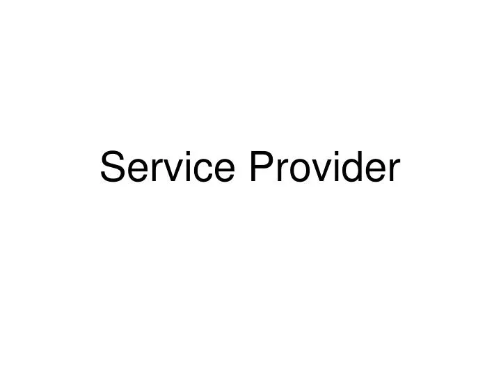 service provider n.