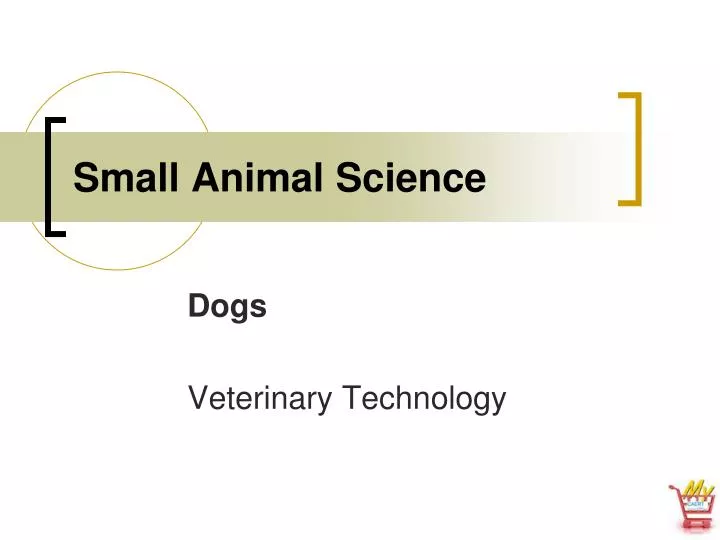 small animal science n.
