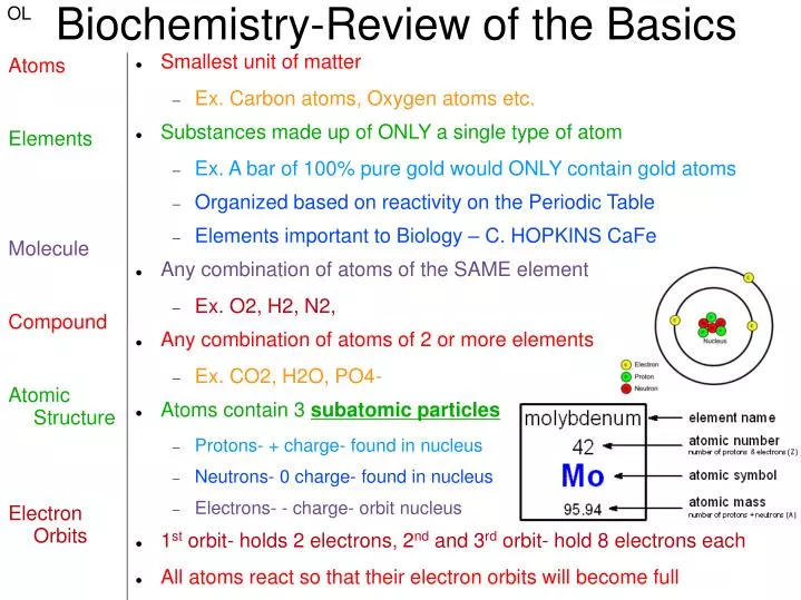 PPT - Biochemistry-Review of the Basics PowerPoint Presentation, free