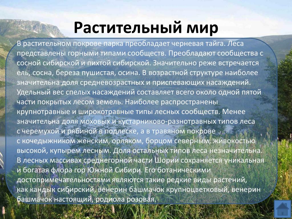 Растительный покров тайги отличается малым видовым разнообразием. Растительный и животный мир Кемеровской области. Растительный мир Кемеровской области. Растительность Кемеровской области. Растительный мир Кузбасса для детей.
