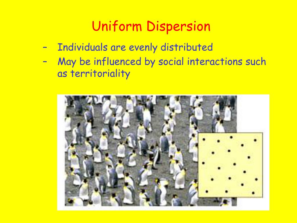 PPT Population Ecology PowerPoint Presentation, free download ID
