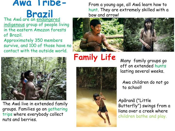 awa tribe population awa tribe population