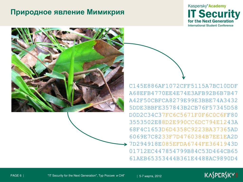 PPT - ВОЗНИКНОВЕНИЕ АДАПТАЦИЙ И ИХ ОТНОСИТЕЛЬНЫЙ ХАРАКТЕР PowerPoint Presentatio