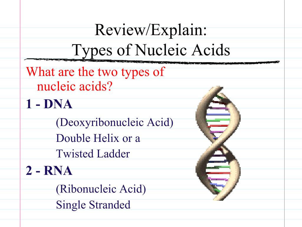 nucleic acids research article types