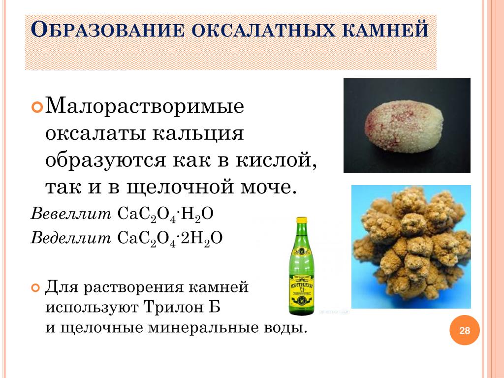 Вода от камней в почках. Образование оксалатных камней. Оксалатных камнях в почках. Вевеллит кальция оксалат моногидрат что это такое. Формирование конкрементов в почках.