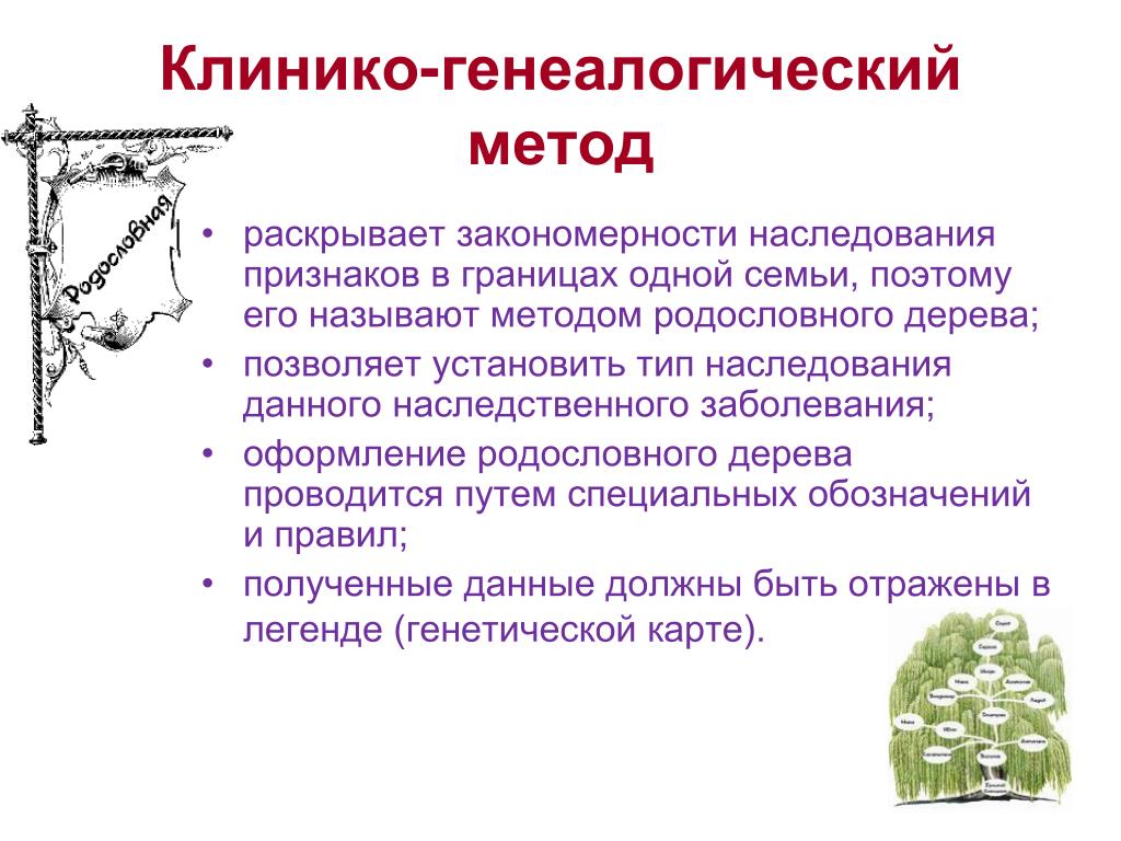 Пример использования генеалогического метода