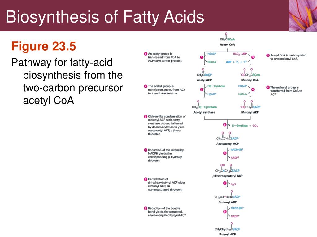 the reactivity of an atom arises primarily from the the reactivity of an atom arises primarily from the