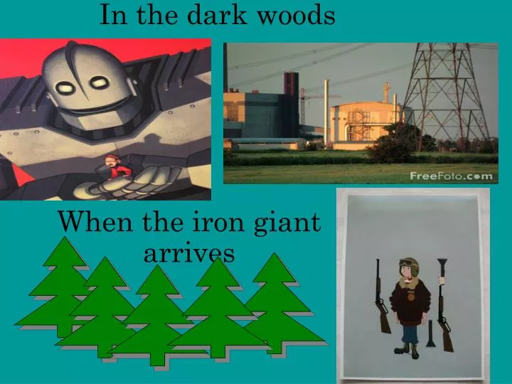 in the dark woods n.