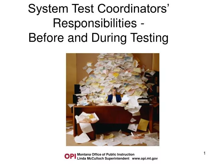system test coordinators responsibilities before and during testing n.