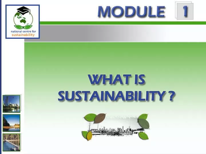 contributions of the mayans to sustainability contributions of the mayans to sustainability