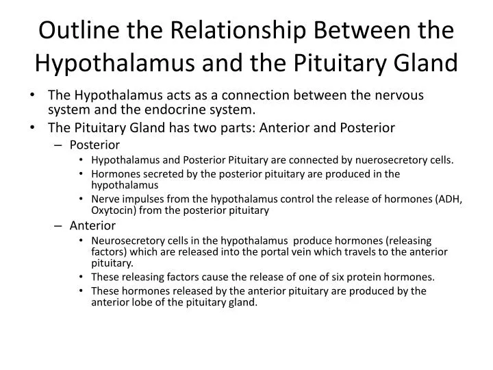 outline the relationship between the hypothalamus and the pituitary gland n.