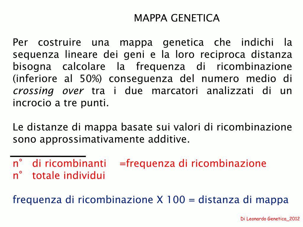 PPT - Associazione, ricombinazione e mappatura genetica dei geni  eucariotici PowerPoint Presentation - ID:3857226