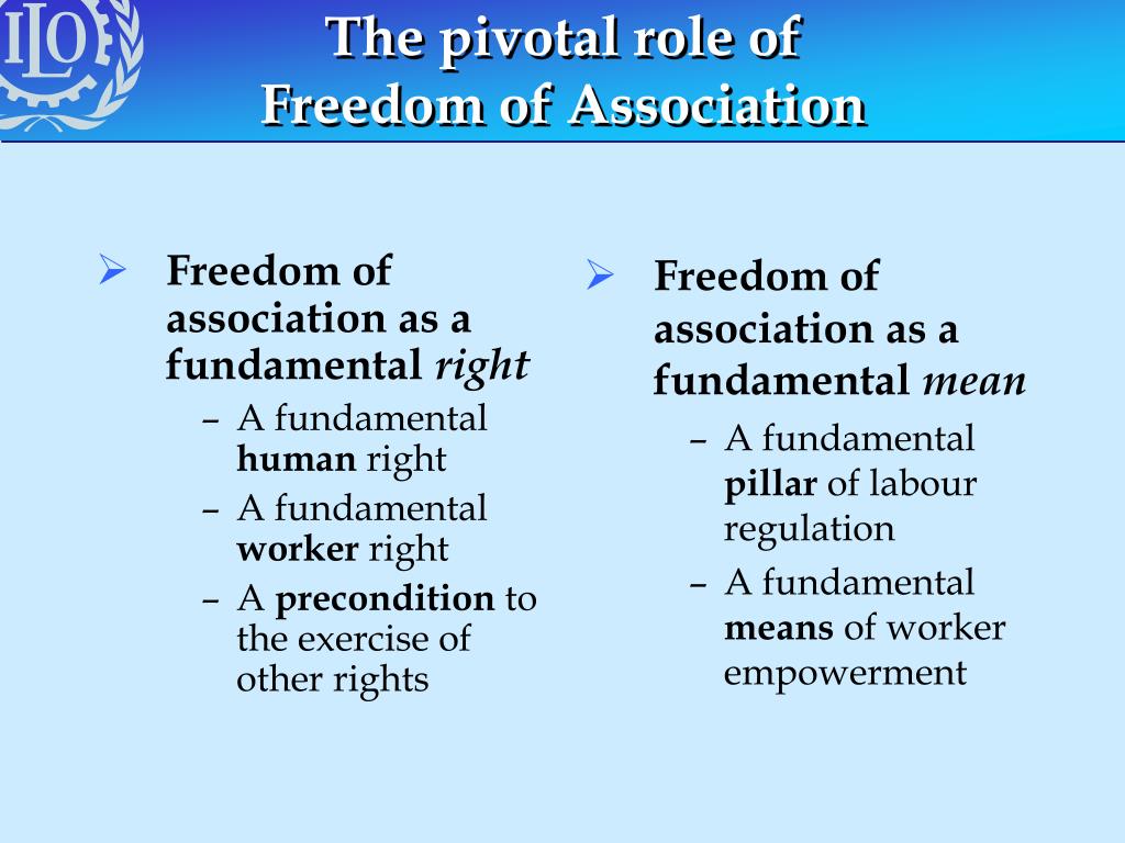 PPT - Freedom of Association Programme International Training Centre of ...