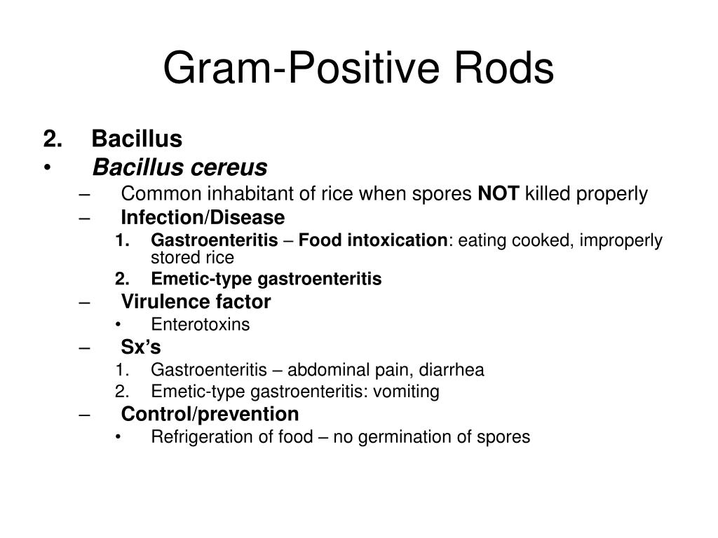 Ppt Chapter 10 Gram Positive Rods Powerpoint