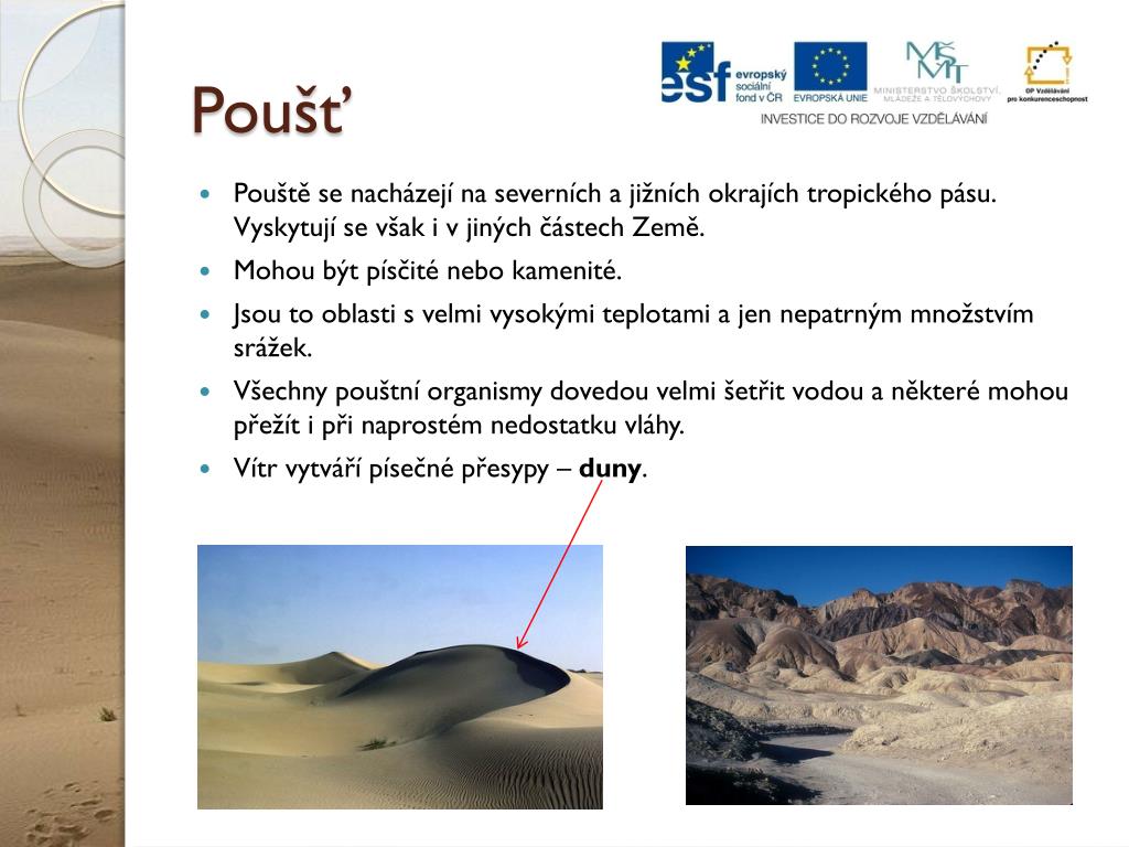 PPT - Tropický pás - Poušť PowerPoint Presentation, free download -  ID:3860292