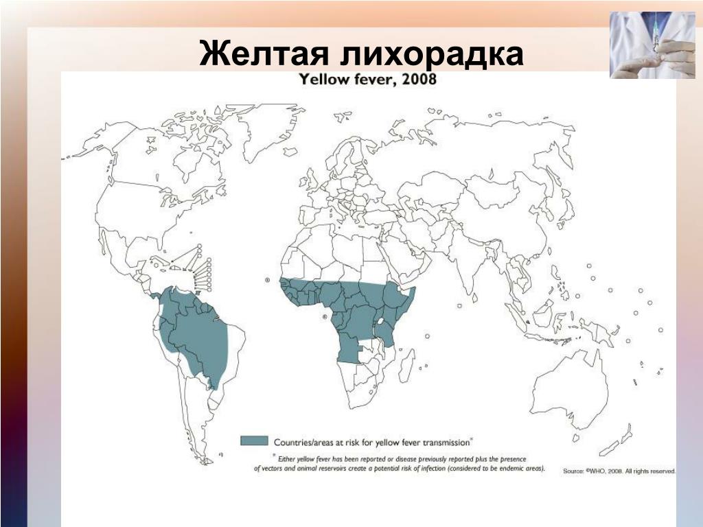 Карта распространения желтой лихорадки в мире