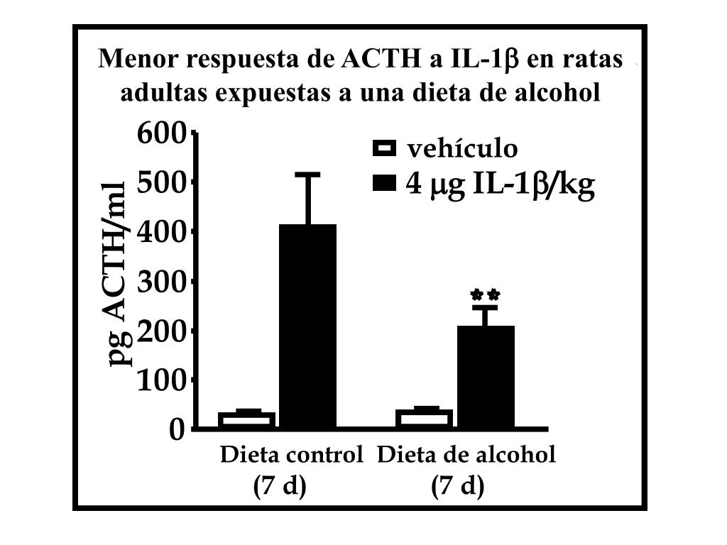 PPT - Alcohol y Endocrinología Conferencista: Catherine Rivier, Ph.D ...