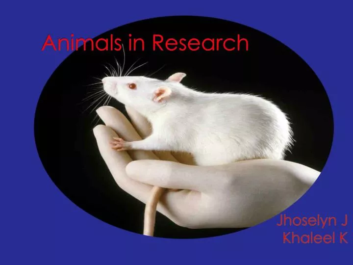 PPT Animals in Research PowerPoint Presentation, free download ID