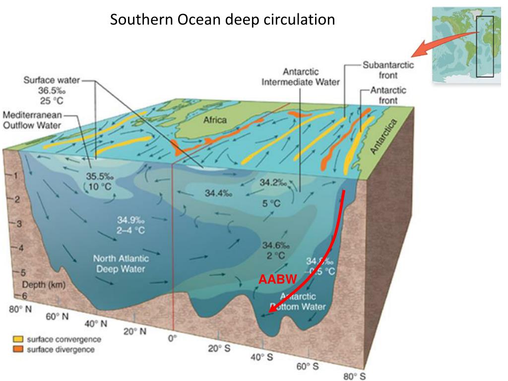 PPT - Great Ocean Conveyor Belt illustration of thermohaline circulation PowerPoint Presentation - ID:3864579