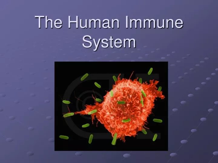 PPT - The Human Immune System PowerPoint Presentation, free download ...