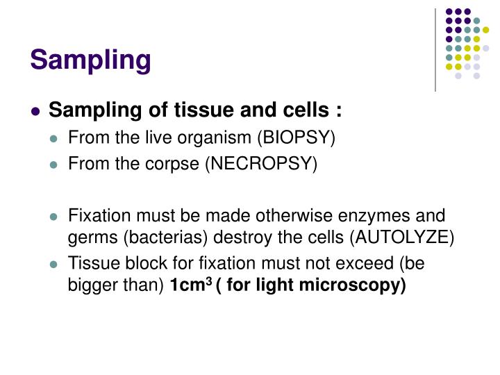 PPT - Methods in histology PowerPoint Presentation - ID:3865918