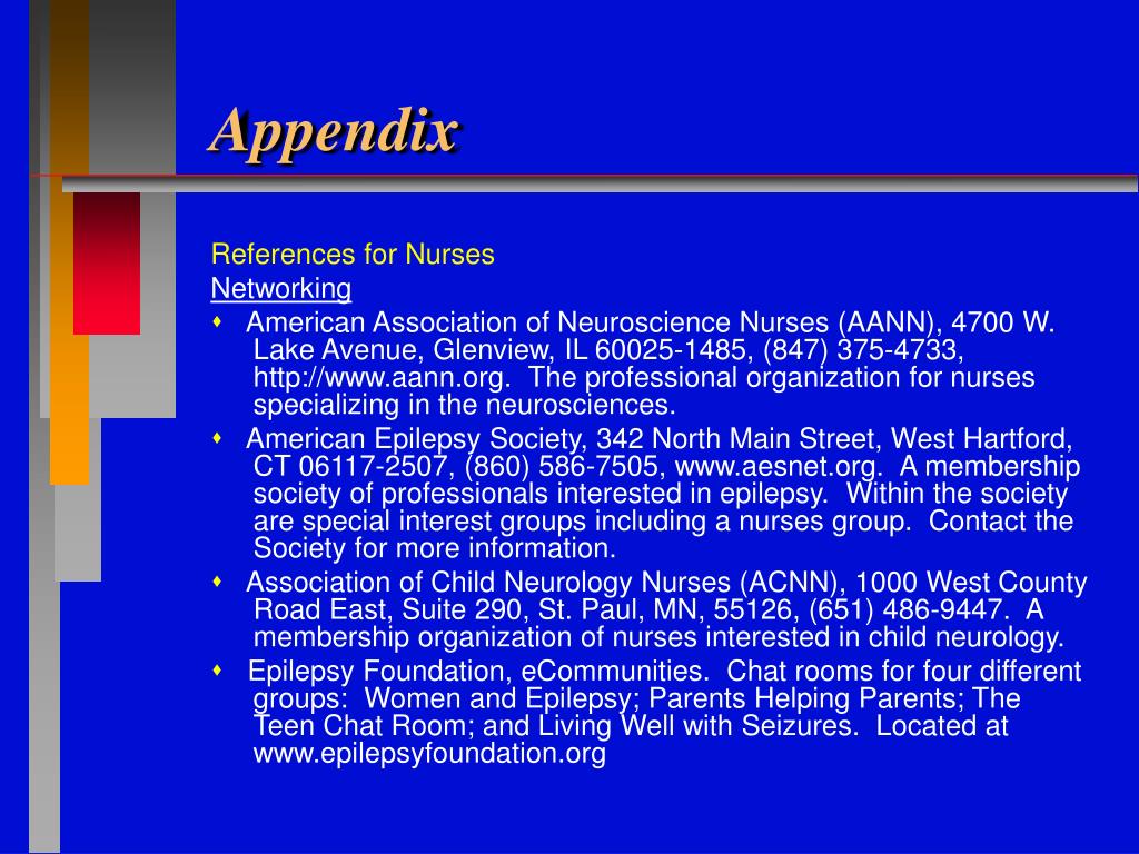 example appendix powerpoint presentation