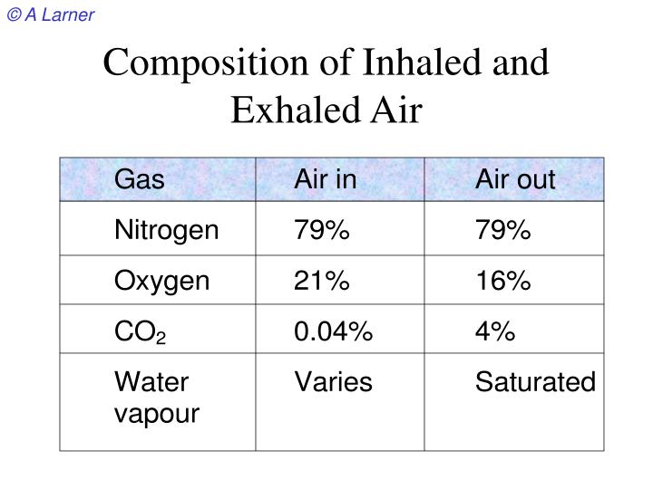 of air exhaled composition and PPT Presentation Respiration PowerPoint ID:3869286 Breathing of air exhaled composition and PPT Presentation Respiration PowerPoint ID:3869286 Breathing
