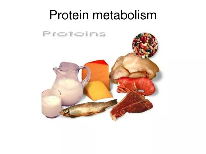 PPT Protein metabolism PowerPoint Presentation, free download ID