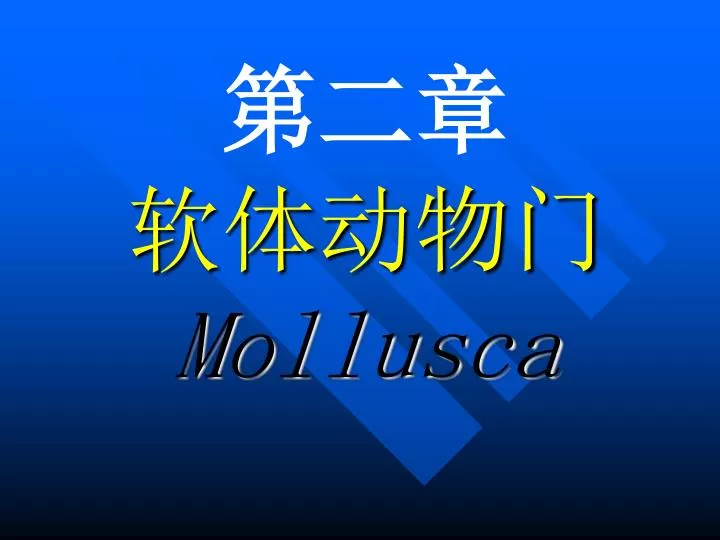 Ppt 第二章软体动物门mollusca Powerpoint Presentation Free Download Id