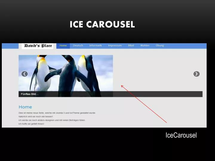 ice carousel n.