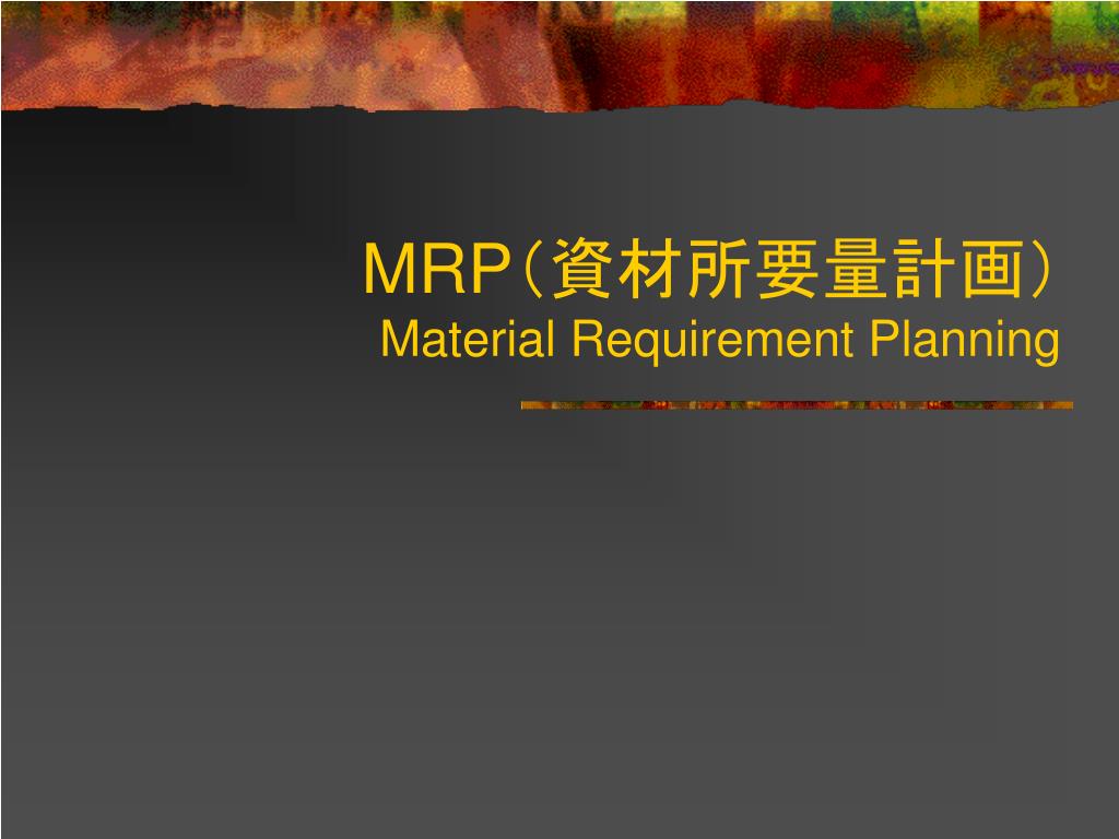 資財所要量計画
