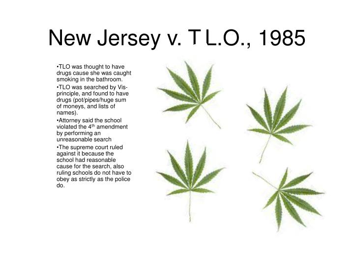 new jersey vs t l o standards for New jersey v tlo, 469 us 325 (1985), is a decision by the supreme court of the united he disagreed, however, with the new standard set down by the court, which he felt was a departure from the traditional probable cause approach. new jersey vs t l o standards for New jersey v tlo, 469 us 325 (1985), is a decision by the supreme court of the united he disagreed, however, with the new standard set down by the court, which he felt was a departure from the traditional probable cause approach.